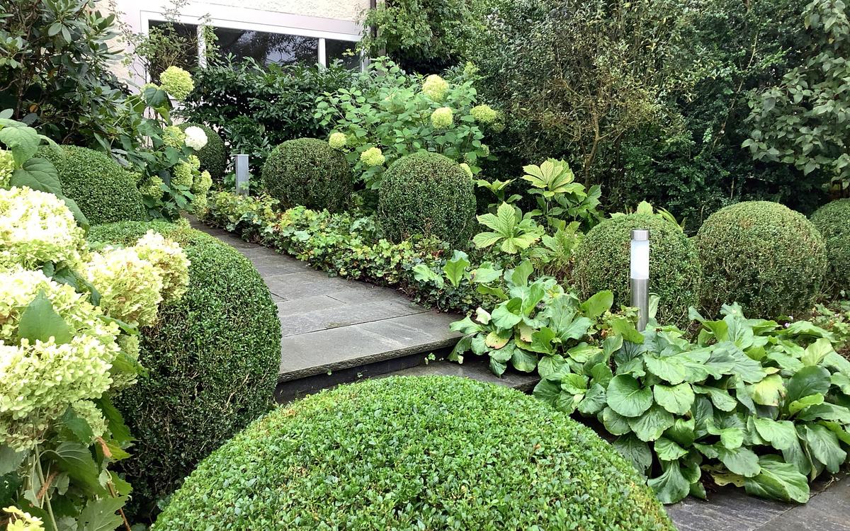 Garten-Bepflanzung_jangarten_Vorgarten_muri-bern_Begruenung