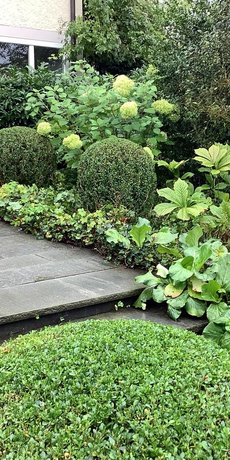 Garten-Bepflanzung_jangarten_Vorgarten_muri-bern_Begruenung