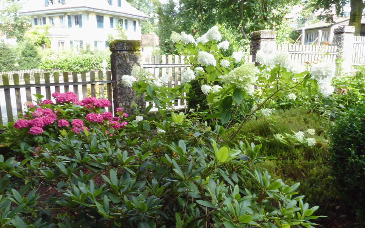Garten-Bepflanzung_jangarten_blumen-natur_muri-bern
