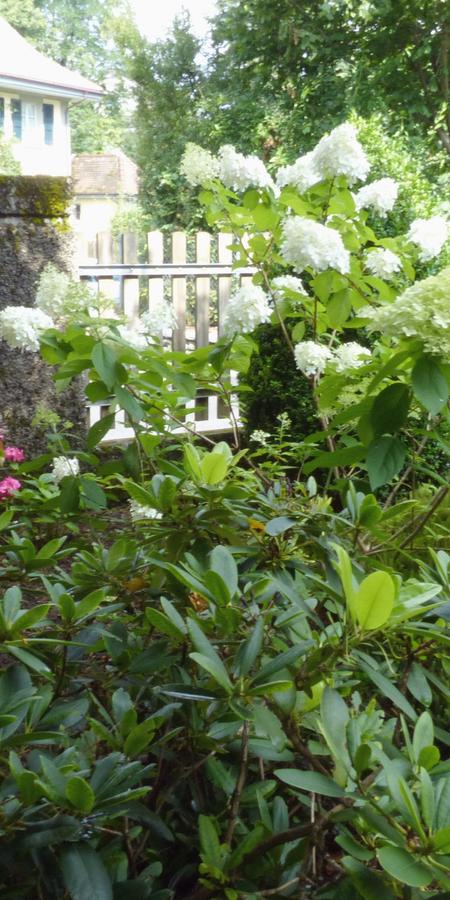 Garten-Bepflanzung_jangarten_blumen-natur_muri-bern
