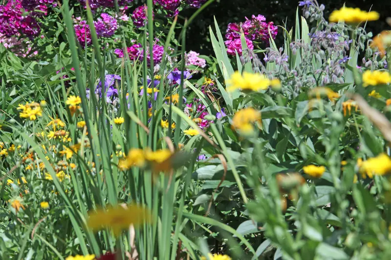 Garten-Bepflanzung_jangarten_muri-bern