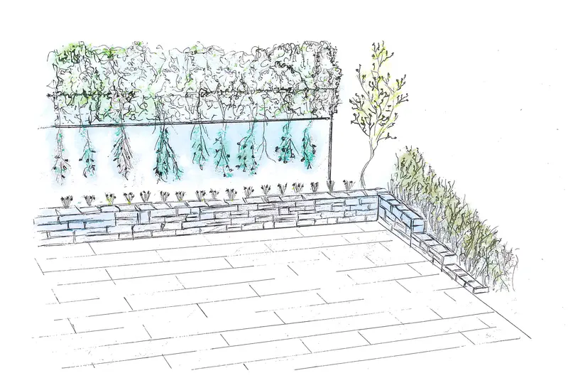 Jangarten_Gartenplanung_Gartenskizze_Garten-Umgestaltung