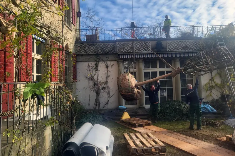 jangarten_Baum-Transport_bepflanzung_Altstadt_Bern_Kran
